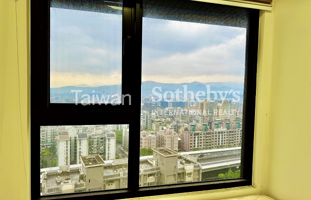 內湖頂樓兩房露台戶遠眺 101景觀照