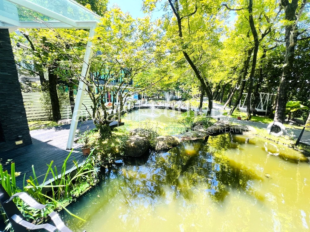 現場實景