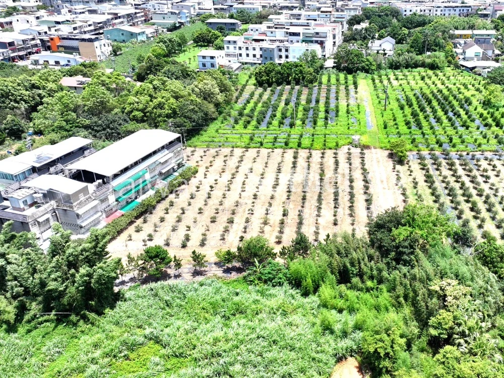 現場實景