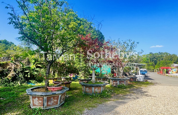 晴嶼之丘 Sunny Isle Estate現場實景