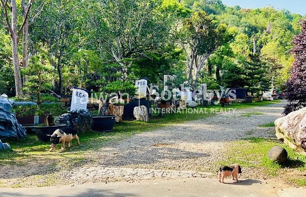 晴嶼之丘 Sunny Isle Estate現場實景