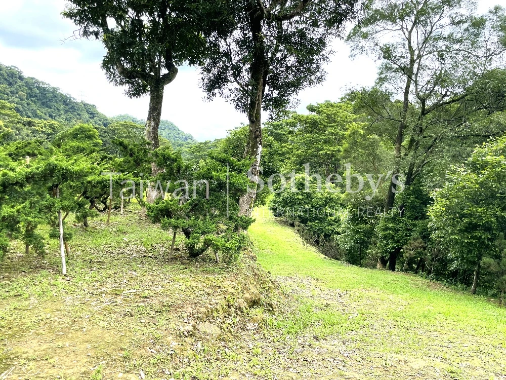 現場實景