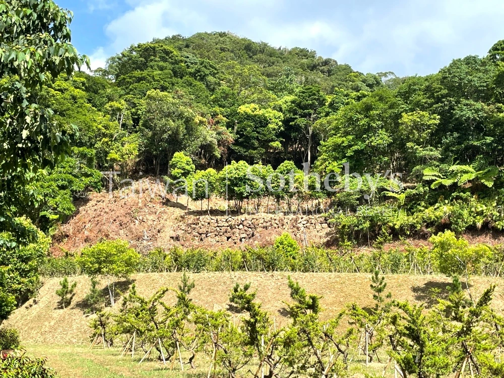 現場實景