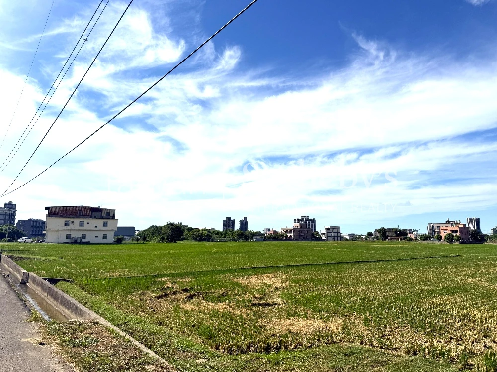 現場實景