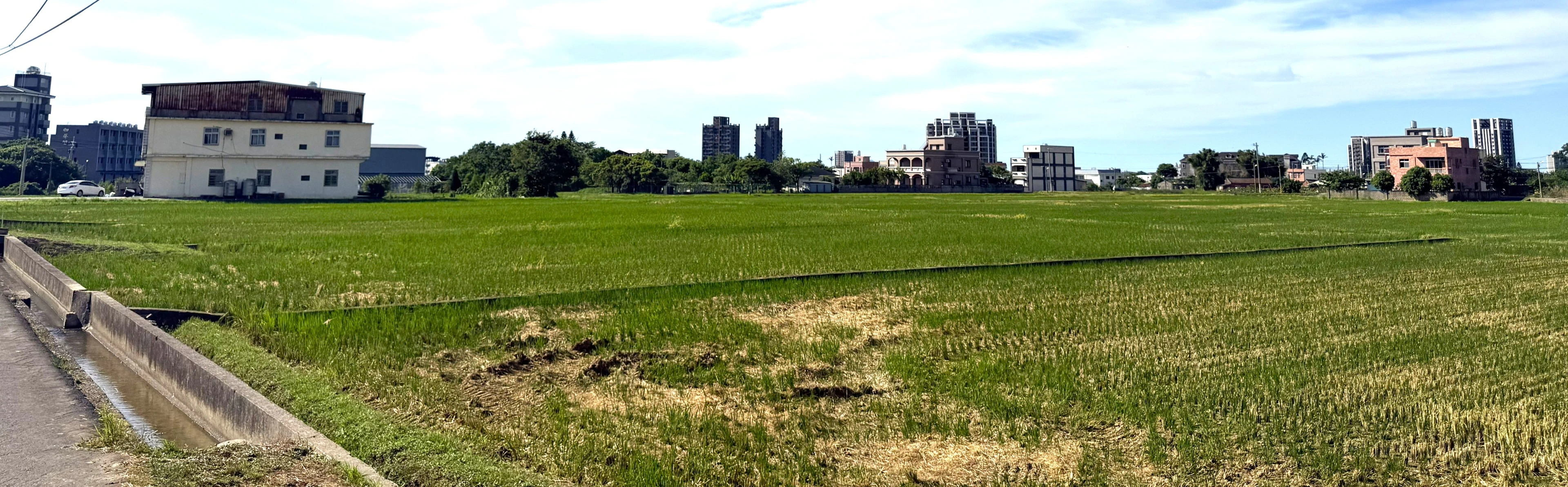  中壢近青埔三千坪美農地 - 物件實景