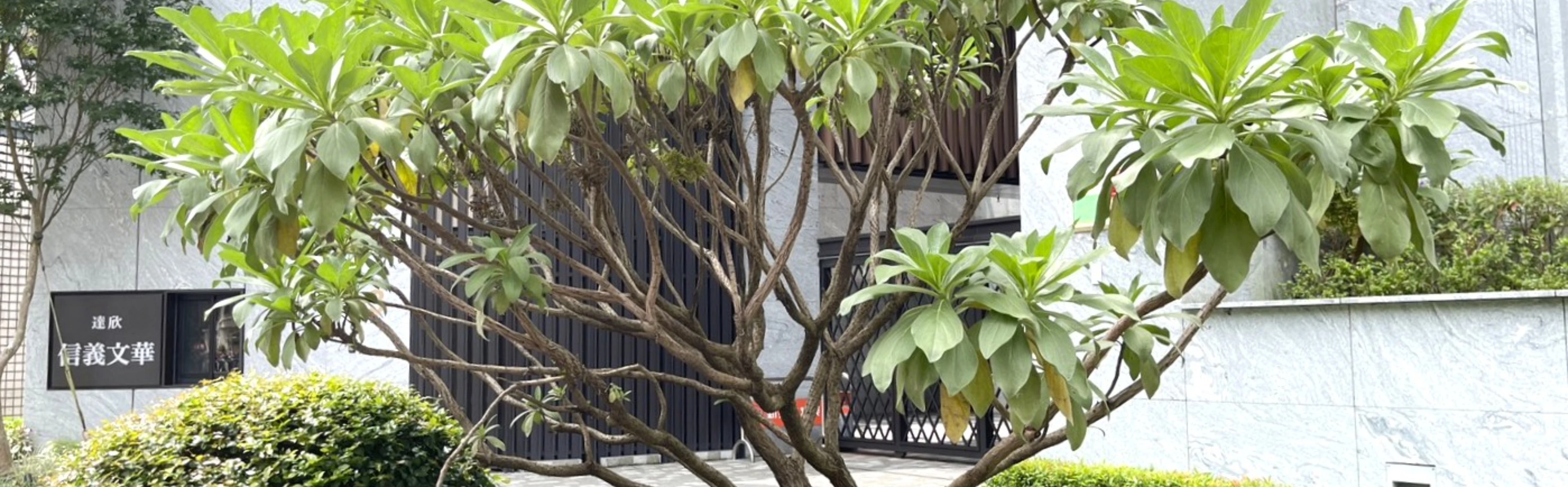  達欣-信義文華 - 物件實景